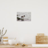 Brant Goose Photo Poster (Küche)