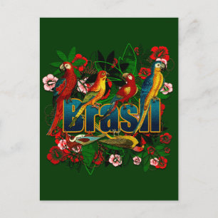 Brasil Brasilien Tropische Regenwaldvögel Kunst Postkarte