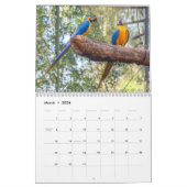 Brasil-Kalender Kalender (Mär 2026)