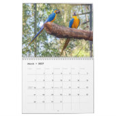 Brasil-Kalender Kalender (Mär 2027)