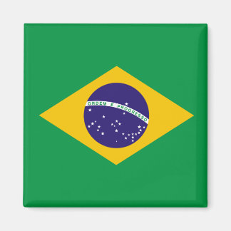 Brasilianische Flagge Magnet