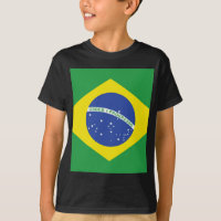 Brasilianische Flagge