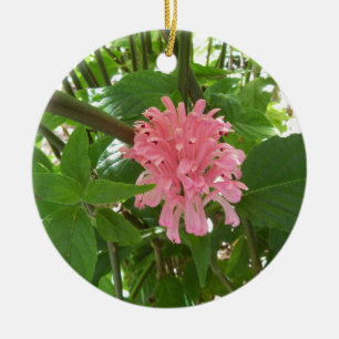 Brasilianische Plume-Blume Keramik Ornament