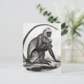 Brasilianischer Affe Postkarte (Stehend Vorderseite)