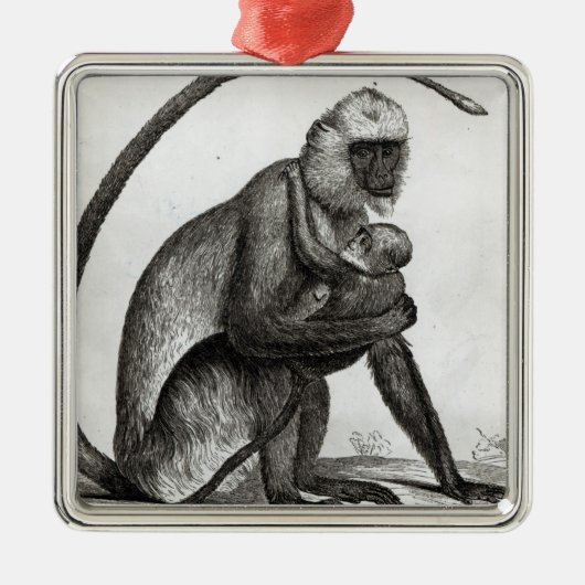 Brasilianischer Affe Silbernes Ornament (Vorne)