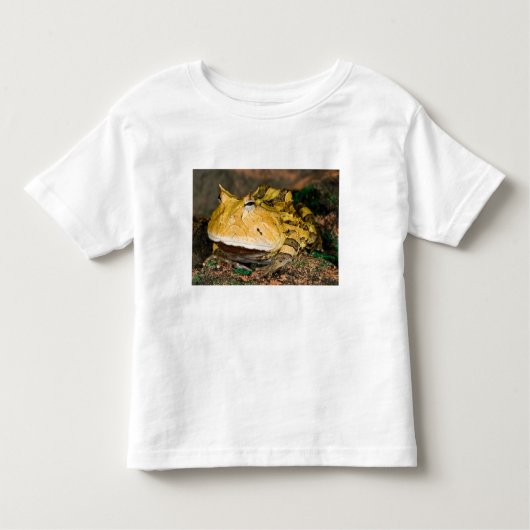 Brasilianischer Hornfrosch, Ceratophrys cornuta, 3 Kleinkind T-shirt (Vorderseite)
