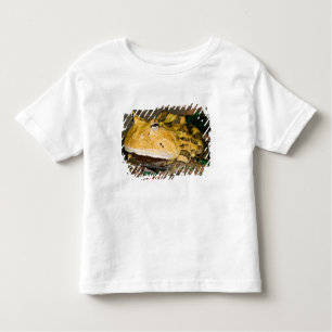 Brasilianischer Hornfrosch, Ceratophrys cornuta, 3 Kleinkind T-shirt