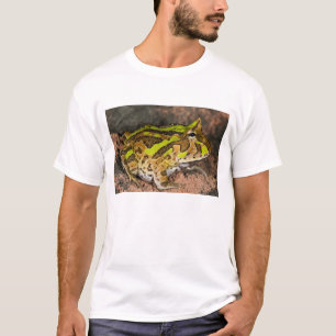 Brasilianischer Hornfrosch, Ceratophrys cornuta, E T-Shirt
