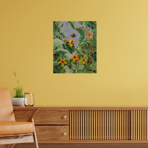 Brasilianischer Kletterstrauch und Kolibris Poster