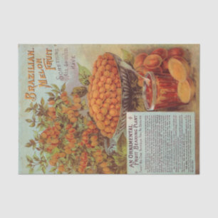 Brasilianischer Melon Fruit Vintag Seed Catalog Seidenpapier