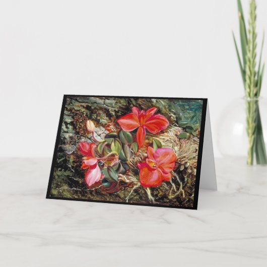 Brasilianischer Orchid, Gemälde von Marianne North Karte (Vorderseite)