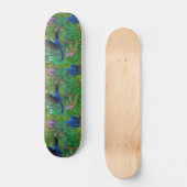 Brasilianischer Regenwald plappert Skateboard nach (Vorderseite)