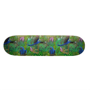 Brasilianischer Regenwald plappert Skateboard nach