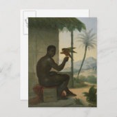 Brasilianischer Schwarzer mit tropischem Vogel Postkarte (Vorne/Hinten)