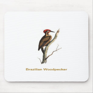 Brasilianischer Specht Vogel Mauspad