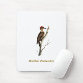Brasilianischer Spechtvogel Mousepad (Mit Mouse)