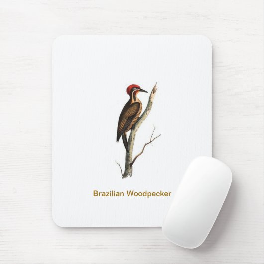 Brasilianischer Spechtvogel Mousepad (Mit Mouse)