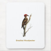 Brasilianischer Spechtvogel Mousepad (Vorne)