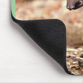 Brasilianischer Tapir, junges Kalb neben Fluss Mousepad (Ecke)