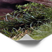 Brasilianischer Tapir (Tapirus terrestris) Poster (Ecke)