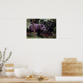 Brasilianischer Tapir (Tapirus terrestris) Poster (Küche)