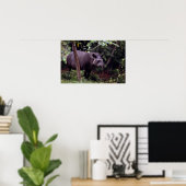 Brasilianischer Tapir (Tapirus terrestris) Poster (Heimbüro)