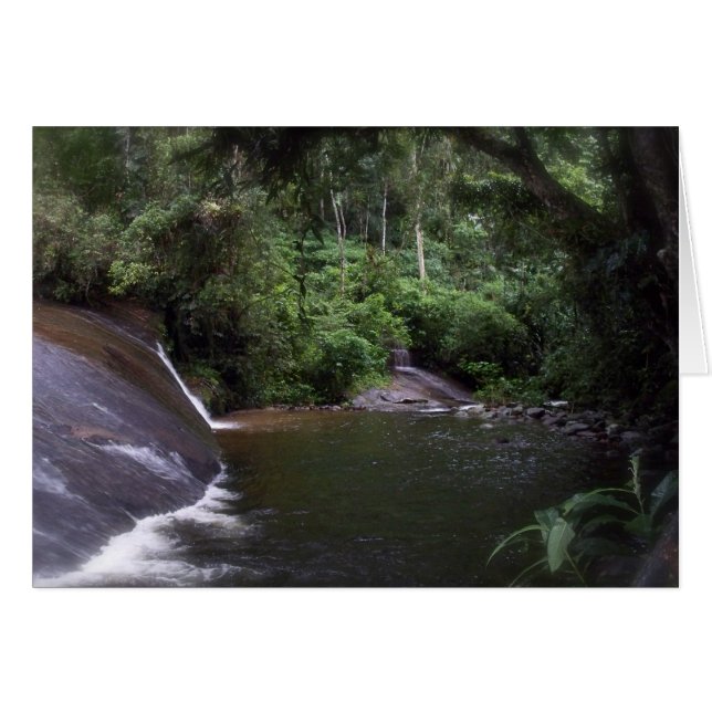 Brasilianischer Wasserfall (Vorderseite (Horizontal))