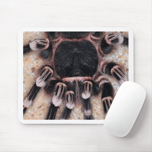 Brasilianischer weißer KnieTarantula Mousepad (Mit Mouse)