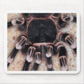 Brasilianischer weißer KnieTarantula Mousepad (Vorne)