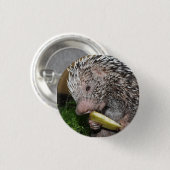 Brasilianisches Stachelschwein oder Button (Vorne & Hinten)