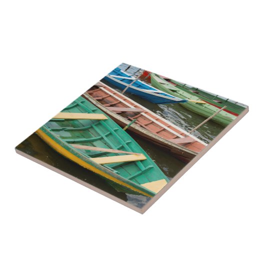 Brasilien, Amazon, Alter Do Chao Fliese (Seite)