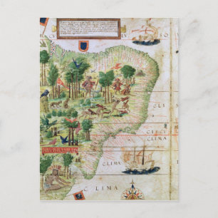 Brasilien aus dem "Miller Atlas" Postkarte