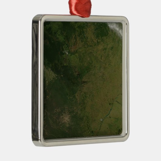 Brasilien Ornament Aus Metall (Rechts)