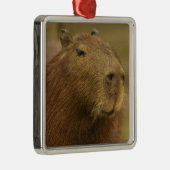 Brasilien, Pantanal, Matto Grosso. Capybara Ornament Aus Metall (Rechts)