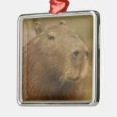 Brasilien, Pantanal, Matto Grosso. Capybara Ornament Aus Metall (Links)
