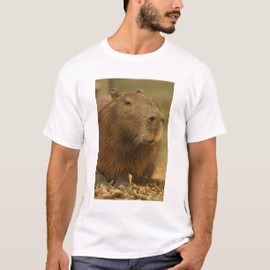 Brasilien, Pantanal, Matto Grosso. Capybara T-Shirt