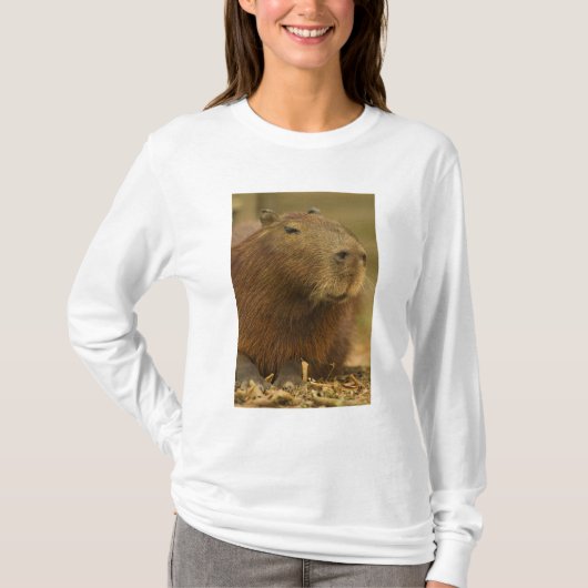 Brasilien, Pantanal, Matto Grosso. Capybara T-Shirt (Vorderseite)