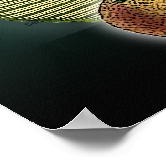 Brasilien Poster (Ecke)