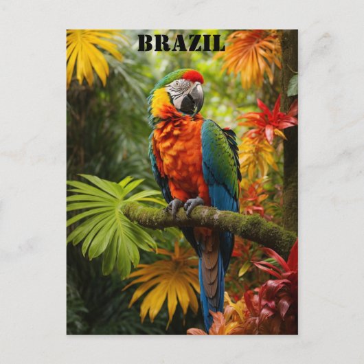 Brasilien Rainforest Colorful Macaw Bird Travel Postkarte (Vorderseite)
