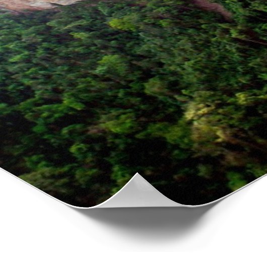 Brasilien - Regenwald Poster (Ecke)