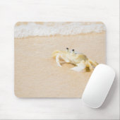 Brasilien, Rio de Janeiro, Buzios, Crab Mousepad (Mit Mouse)