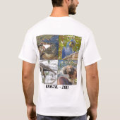 Brasilien-T - Shirt (Rückseite)