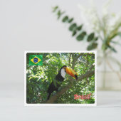 Brasilien - Toco Toucan - Postkarte (Stehend Vorderseite)