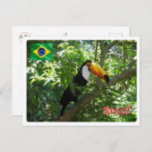 Brasilien - Toco Toucan - Postkarte (Vorne/Hinten)