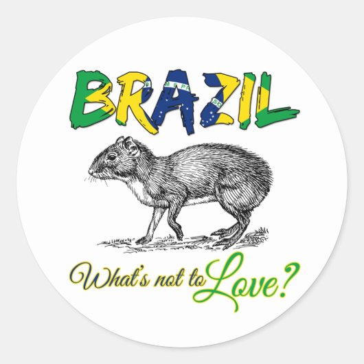 Brasilien - Was ist nicht zu Liebe Brasil Zitat Runder Aufkleber (Vorderseite)