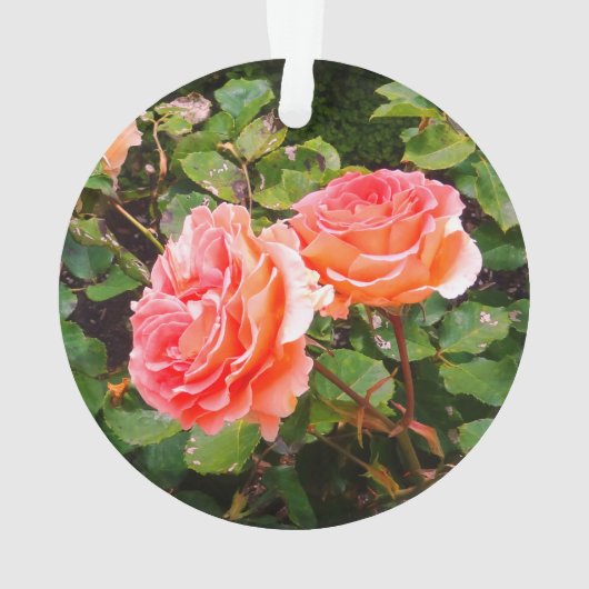Brass Band Rose #1 Ornament (Rückseite)