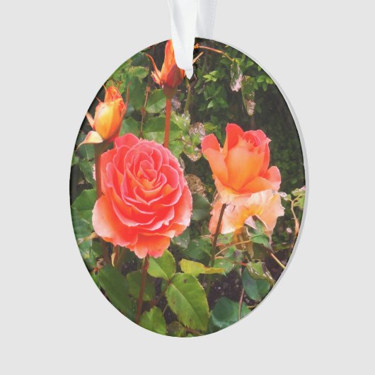Brass Band Rose #1 Ornament (Vorderseite)