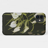 Brassavola Orchid iPhone5 Fall Case-Mate iPhone Hülle (Rückseite (Horizontal))