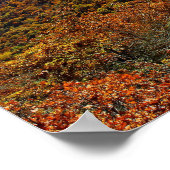 Brasstown Bald, Georgien Poster (Ecke)