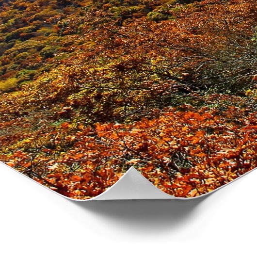 Brasstown Bald, Georgien Poster (Ecke)